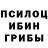Псилоцибиновые грибы прущие грибы Irma Kara