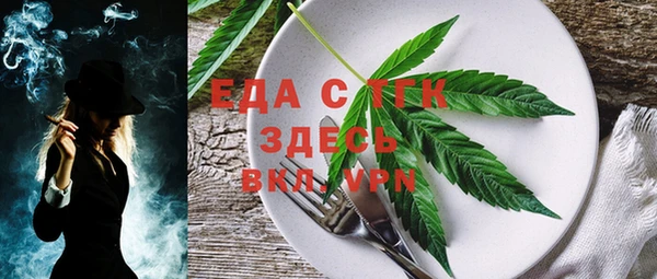 тгк Медногорск