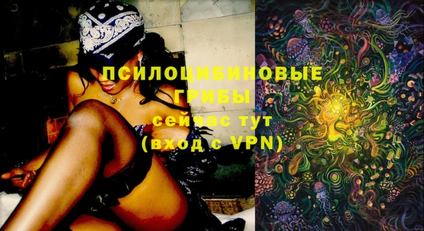 бошки Михайловск