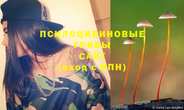 первитин Белокуриха