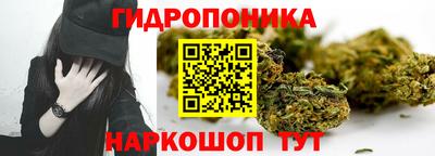 дмт Дубна