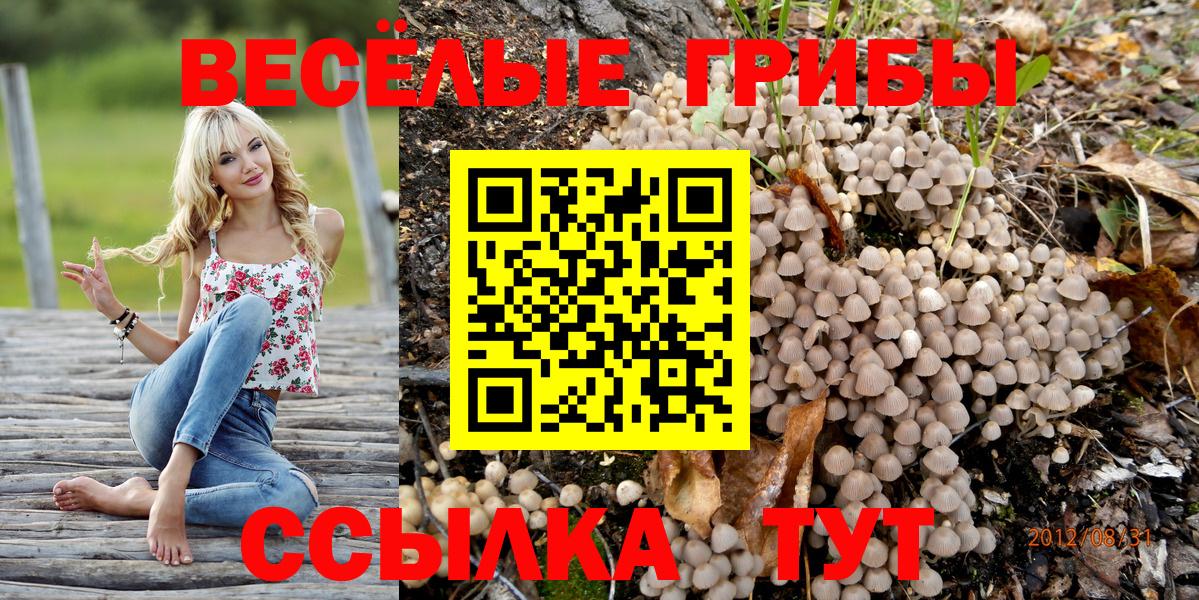 Клинцы  Галлюциногенные грибы Magic Shrooms  Вход с VPN 